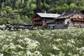 Le Petit Coeur Residence De Montagne