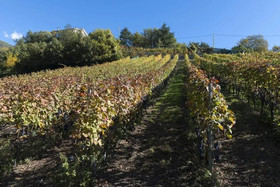 Agriturismo Gli Elfi