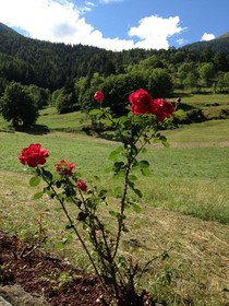 Hotel Mont Velan