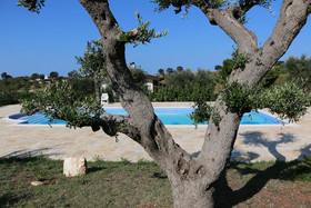 Eremo del Dotto
