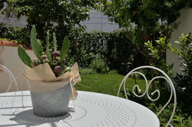 Madia Luxury