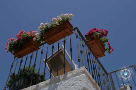 Madia Luxury