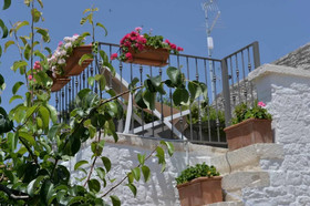 Madia Luxury
