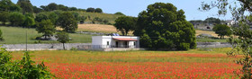 Masseria Torricella