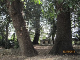 Villa Teseo