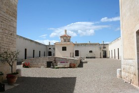 Lama Di Luna