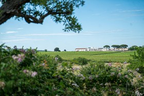 Le Masserie Zucaro