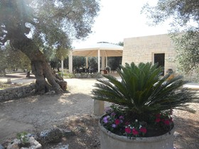 Tenuta Pigliano
