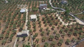 Tenuta Pigliano