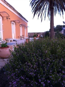Tenuta Masseria Del Gallo