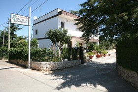 Le Coccinelle