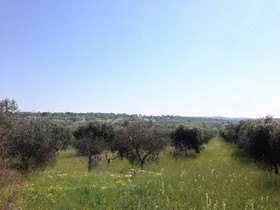 Torre due Pani