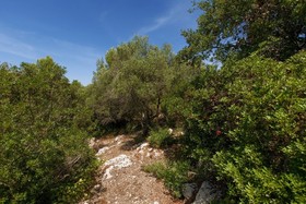 Villa Merienne