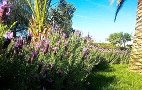 Agriturismo Masseria Calongo