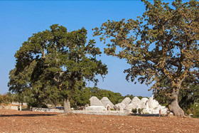 Trulli Di Monte Reale
