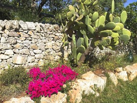 Trullo Sovrano Exclusive B&B