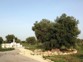 Agriturismo Mele