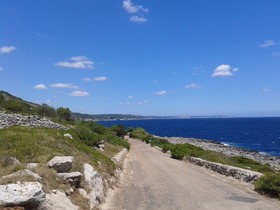Mirto Mare