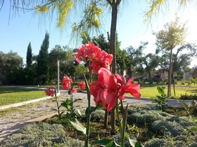 Willaria Country House