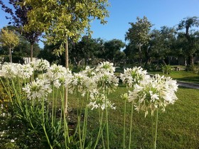 Willaria Country House