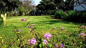 Terra Diletta B&b