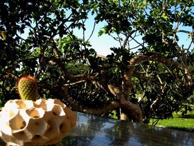 Terra Diletta B&b