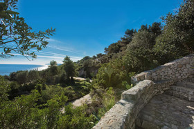 Pajara Acquaviva