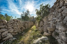 Pajara Acquaviva