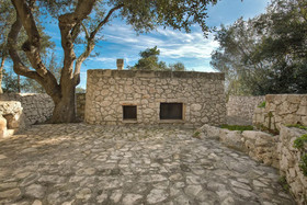 Pajara Acquaviva