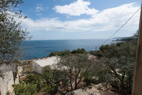 Pajara Di Nelly