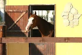 Agriturismo Posta Bassi