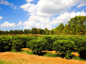 Borgo Valle Rita