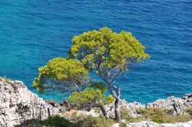 Touring Club Italiano Isole Tremiti
