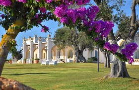 Masseria Celidonia