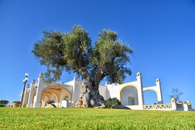 Masseria Celidonia