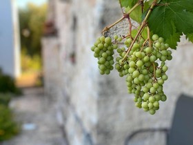 Il Palmento Hotel Relais