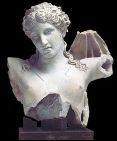 Le foglie di Acanto