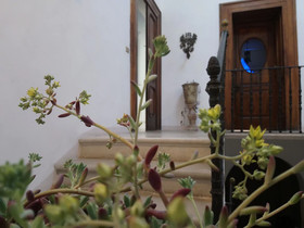 Le foglie di Acanto