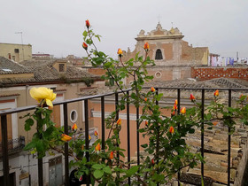 Le foglie di Acanto