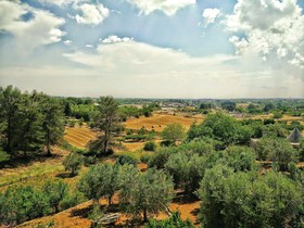 I Trulli di Zia Rosa