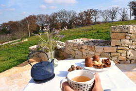 La Casa degli Uccellini Bio Agriturismo
