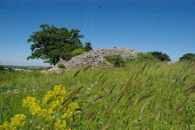 La Casa degli Uccellini Bio Agriturismo