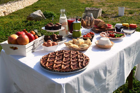 La Casa degli Uccellini Bio Agriturismo