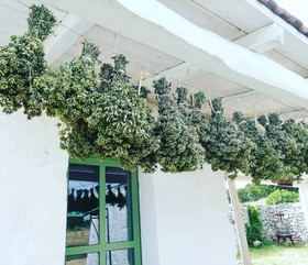 La Casa degli Uccellini Bio Agriturismo