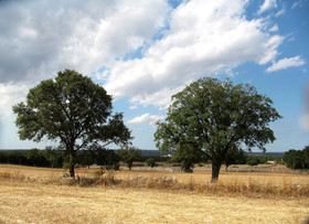La Casa degli Uccellini Bio Agriturismo