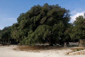 Masseria Iazzo Scagno