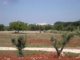 Trulli Terrarossa