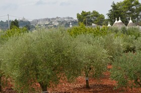 Villetta Culmine