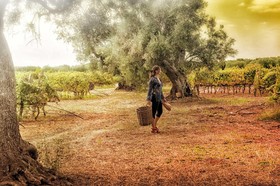 Masseria Le Fabriche