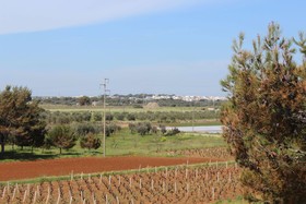 Villa SalentOnTheBeach